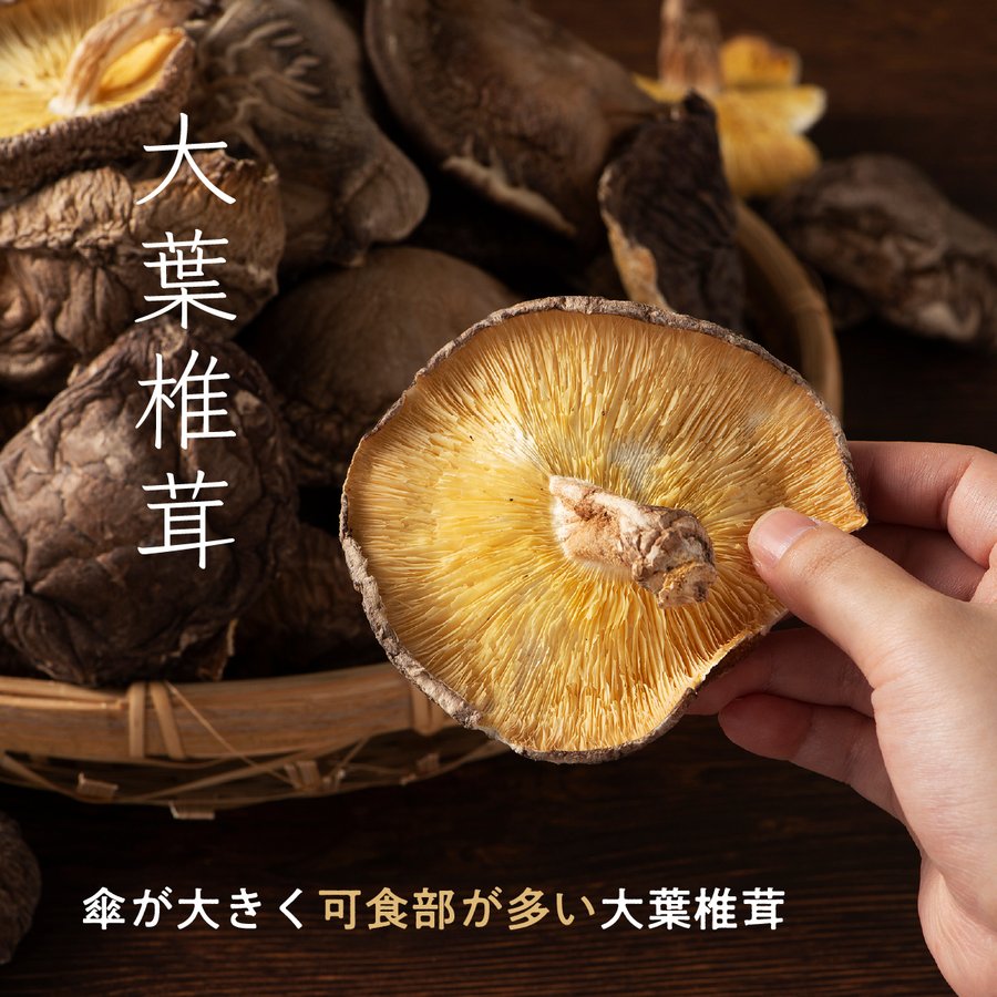 業務用椎茸2種セット