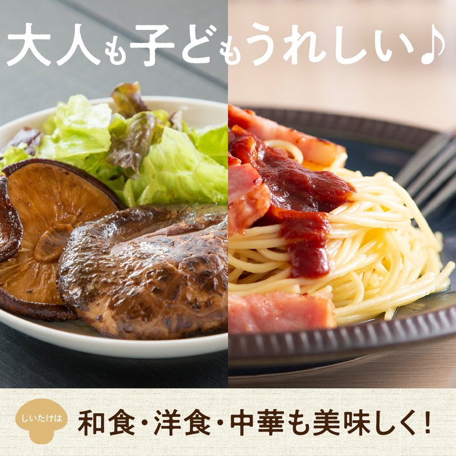基本のだしセット しいたけ カタクチイワシ 真昆布