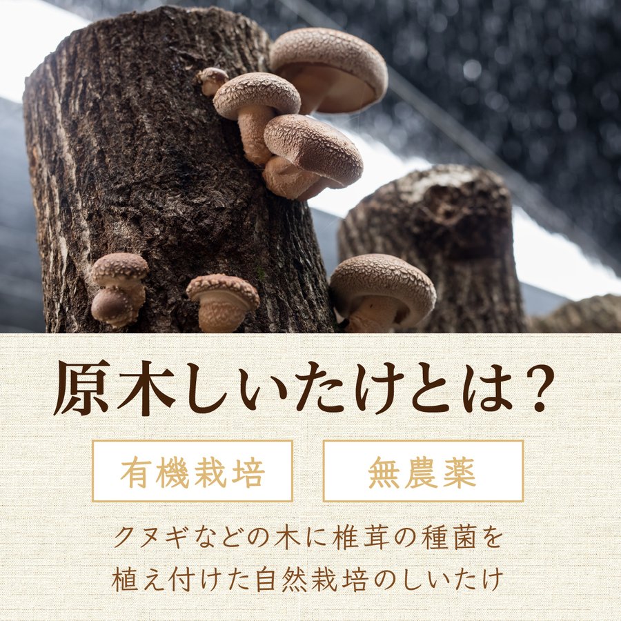 基本のだしセット しいたけ カタクチイワシ 真昆布