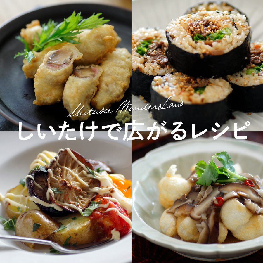 【ご予約受付中！】原木栽培 生椎茸 約1kg【11月末頃から出荷開始！】【日付指定不可】