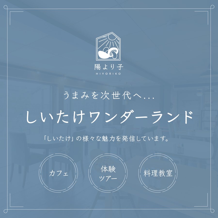 【ご予約受付中！】原木栽培 生椎茸 約1kg【11月末頃から出荷開始！】【日付指定不可】