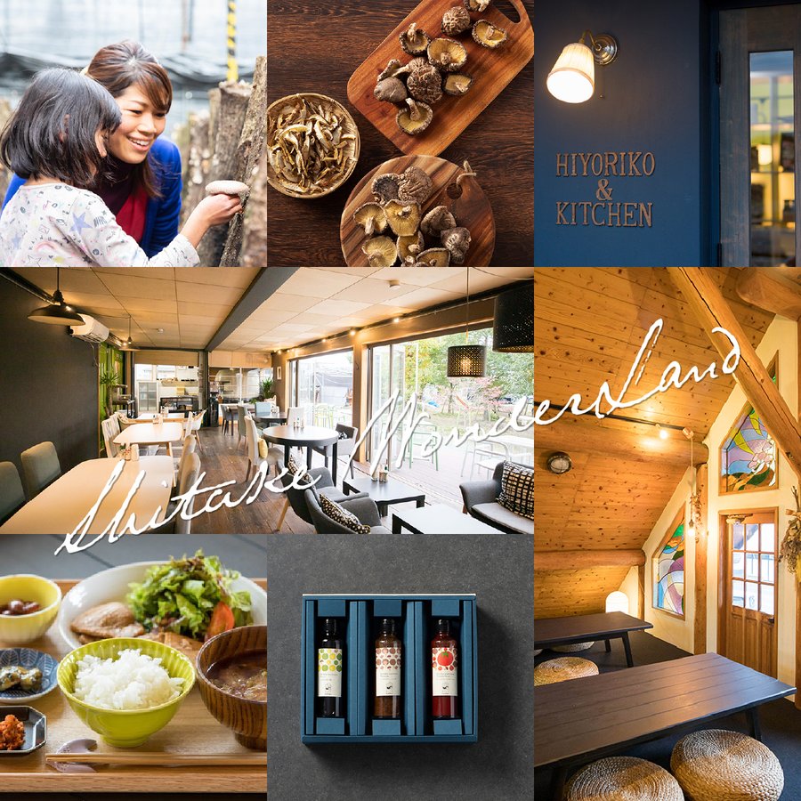 【ご予約受付中！】原木栽培 生椎茸 約1kg【11月末頃から出荷開始！】【日付指定不可】